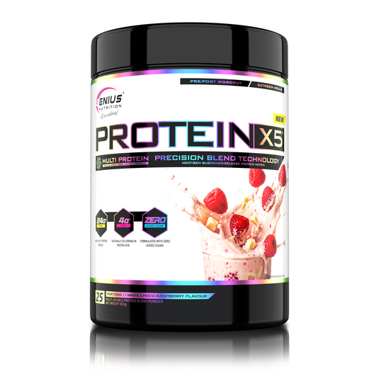 PROTEIN-X5 825g/25serv